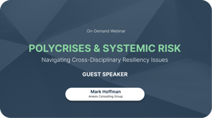 Webinar Cover: Polycrises & Systemic Risk